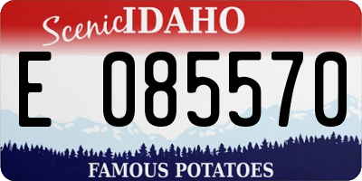 ID license plate E085570