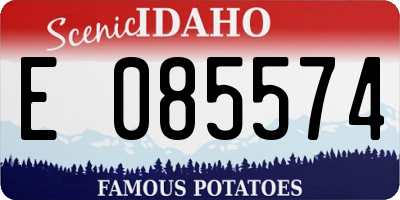 ID license plate E085574