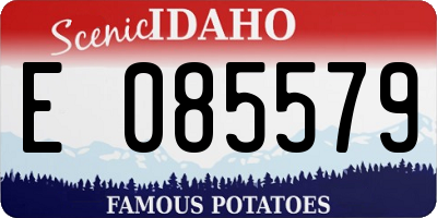 ID license plate E085579