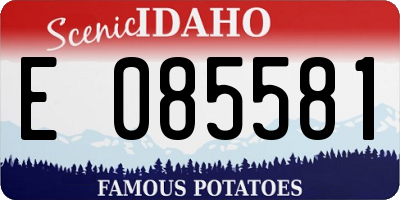 ID license plate E085581