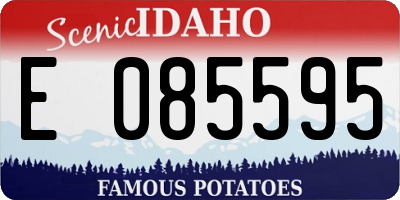 ID license plate E085595
