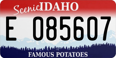 ID license plate E085607