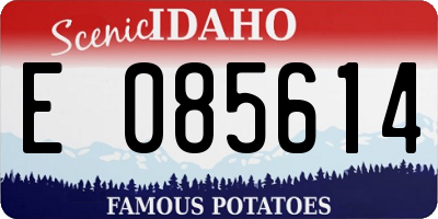 ID license plate E085614