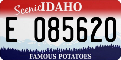 ID license plate E085620