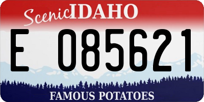 ID license plate E085621