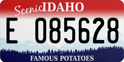ID license plate E085628