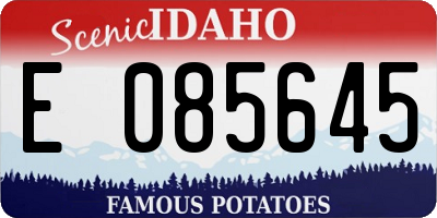 ID license plate E085645