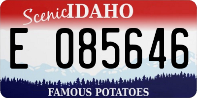 ID license plate E085646