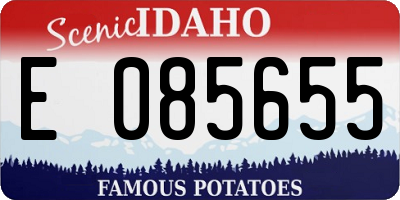 ID license plate E085655