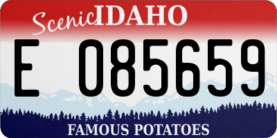 ID license plate E085659