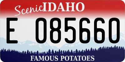ID license plate E085660