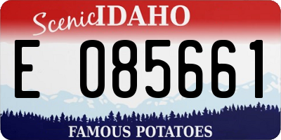 ID license plate E085661