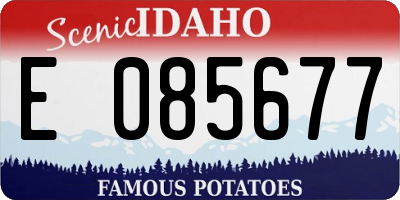 ID license plate E085677