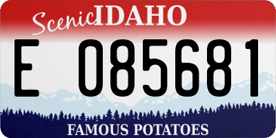 ID license plate E085681