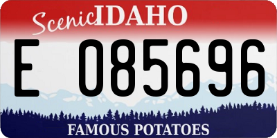 ID license plate E085696