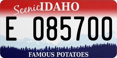 ID license plate E085700