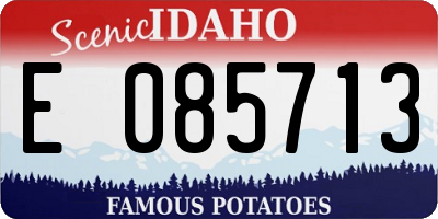 ID license plate E085713