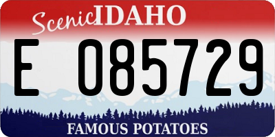 ID license plate E085729