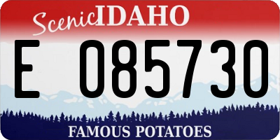 ID license plate E085730