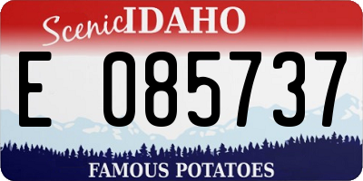 ID license plate E085737