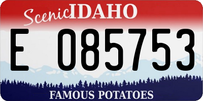 ID license plate E085753