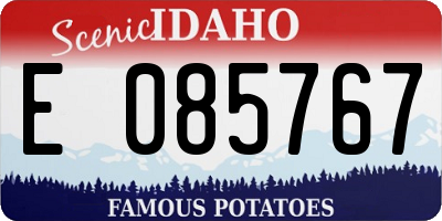 ID license plate E085767