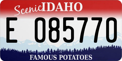 ID license plate E085770