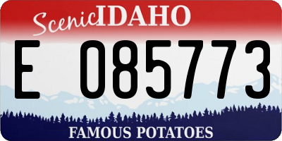 ID license plate E085773
