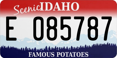 ID license plate E085787