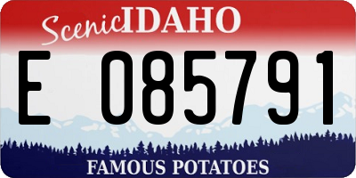ID license plate E085791