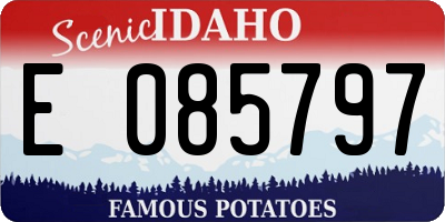 ID license plate E085797
