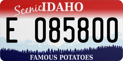 ID license plate E085800