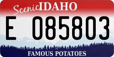 ID license plate E085803