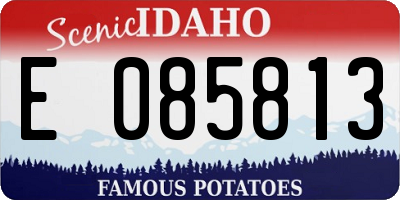 ID license plate E085813