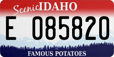 ID license plate E085820