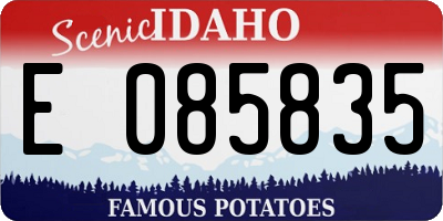 ID license plate E085835