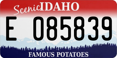 ID license plate E085839