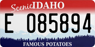 ID license plate E085894