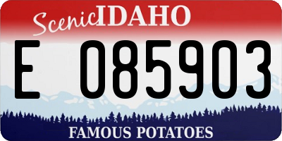 ID license plate E085903