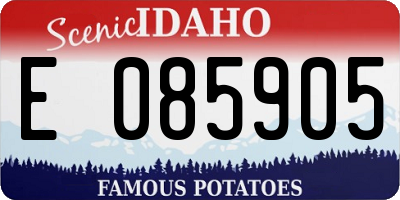 ID license plate E085905