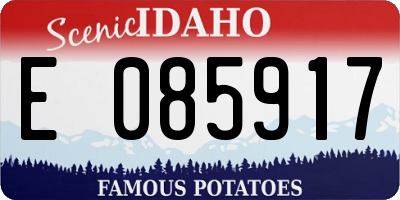 ID license plate E085917