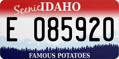 ID license plate E085920
