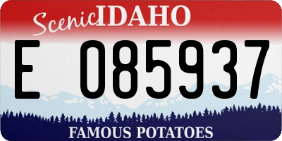 ID license plate E085937
