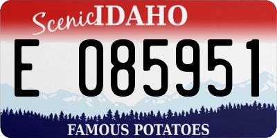 ID license plate E085951