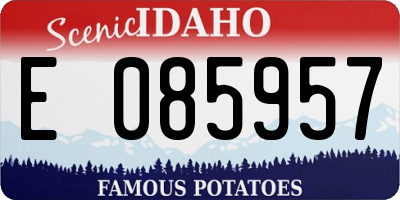 ID license plate E085957
