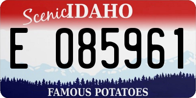 ID license plate E085961