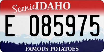 ID license plate E085975