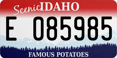 ID license plate E085985