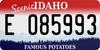 ID license plate E085993