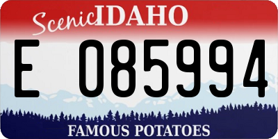 ID license plate E085994